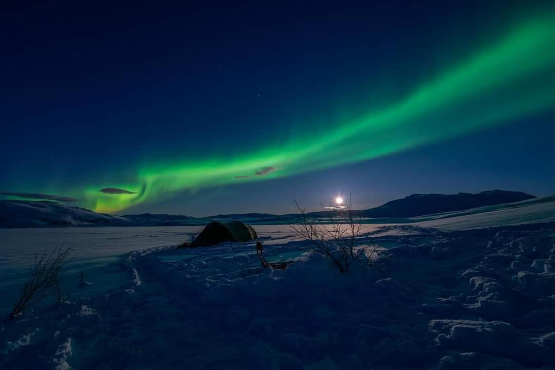 Villa Kaldfjord Sea House Tromsø Esterno foto